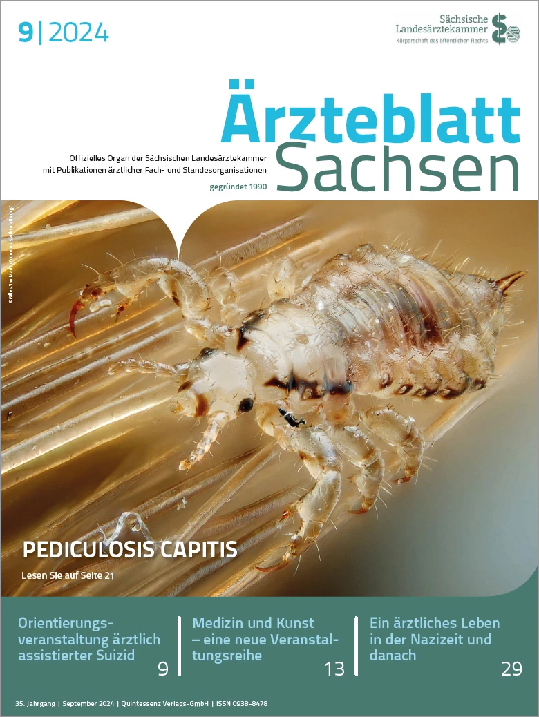 Bild einer Kopflaus - Pediculus humanus var. capitis