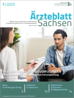 Psychologin und Patient sitzen sich im Behandlungszimmer gegenüber